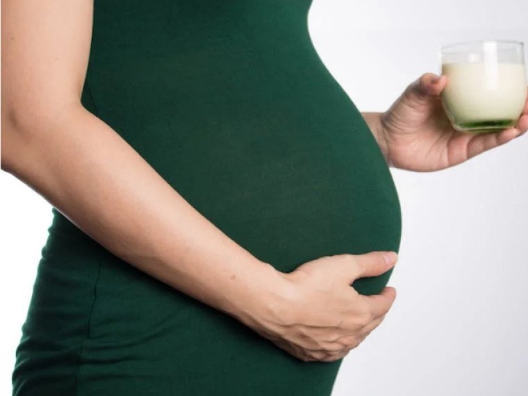 Pregnancy Diet Program