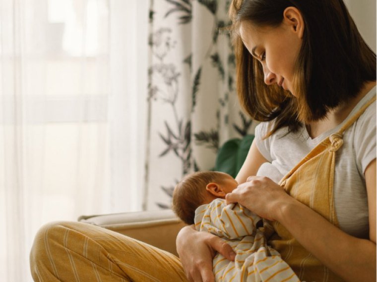 Lactation Diet Program
